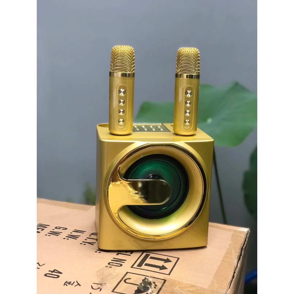 Loa Bluetooth Karaoke Su-Yord YS207 kèm 2 micro mẫu mới