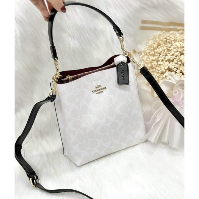 Túi Coach Mollie bucket 22