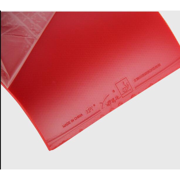 Xvt Vợt Bóng Bàn Bằng Cao Su Có Vòng Xoay Chính Hãng ITTF Kèm Mút Xốp Cho Ping Pong