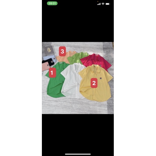 Áo sơ mi tay ngắn thêu chất cotton bột phom rộng freesize