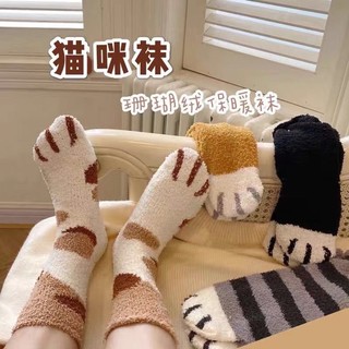 Tất ,vớ chân mèo giữ ấm dễ thương 🐰