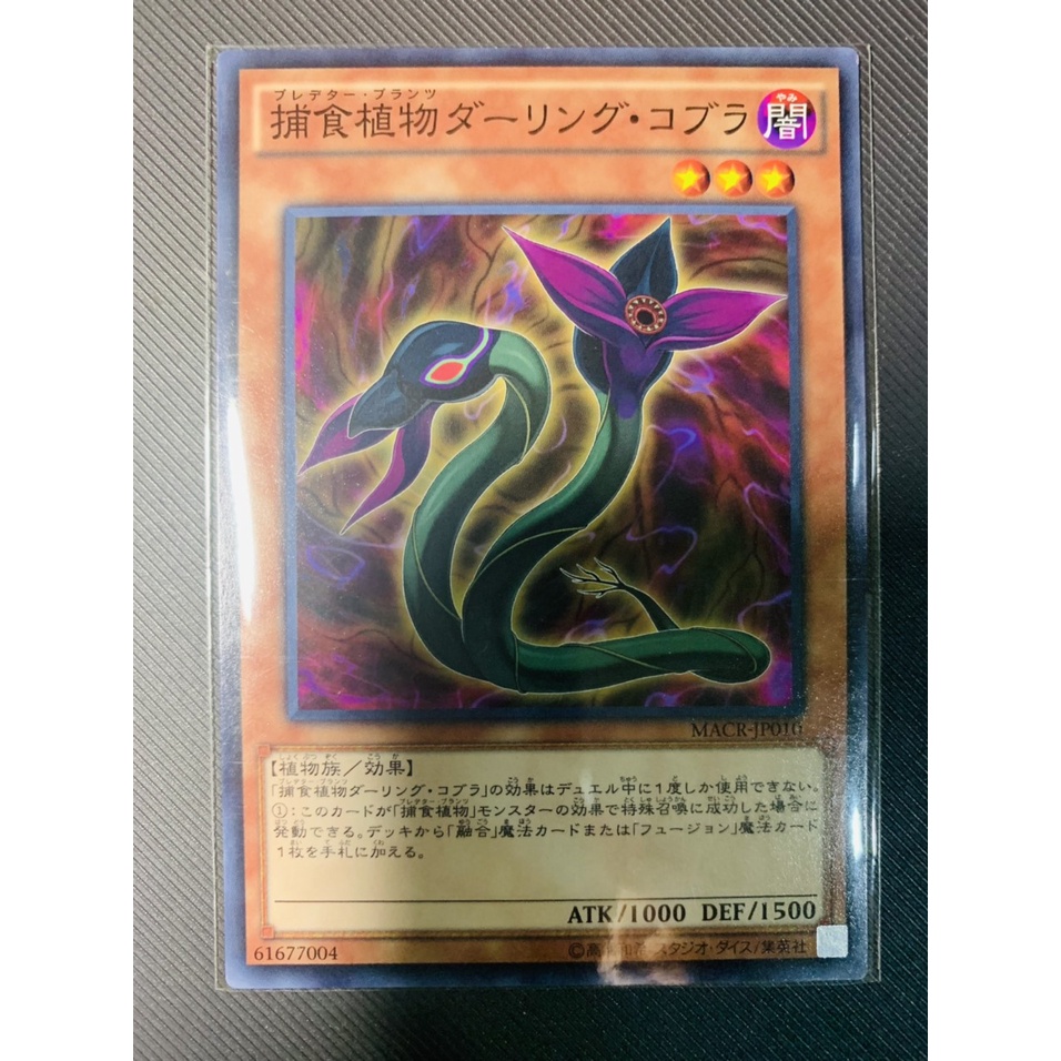 Thẻ bài Yugioh: Predaplant Darlingtonia Cobra
