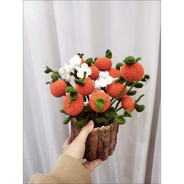 Chậu Cây Cam/Dâu Len Tự Đan DIY Handmade