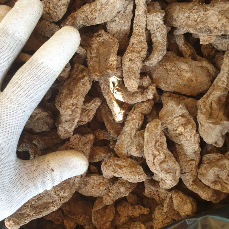 Sinh địa, địa hoàng khô 1kg