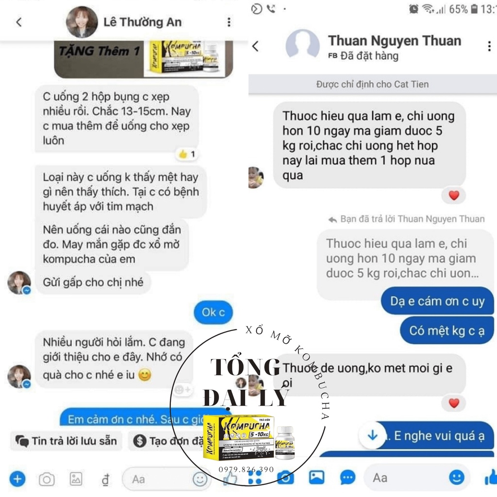 Trà viên Phan tả diệp mẫu mới chuyên cho cơ địa khó giảm