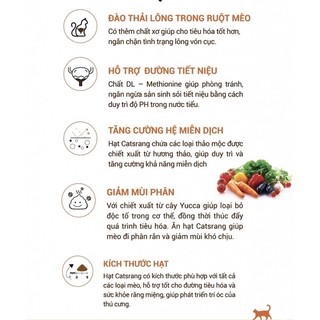 Hạt Catsrang cho mèo - Hạt cho mèo BINW Pack