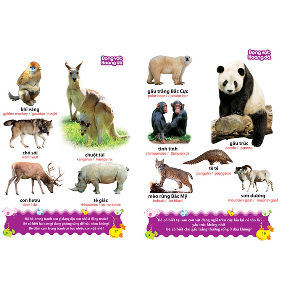 Sách: Từ Điển Tranh Về Các Con Vật (Bìa Cứng)