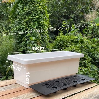 [5 Cái] Khay Nhựa Trồng Rau Size Ngắn (49x20x15)
