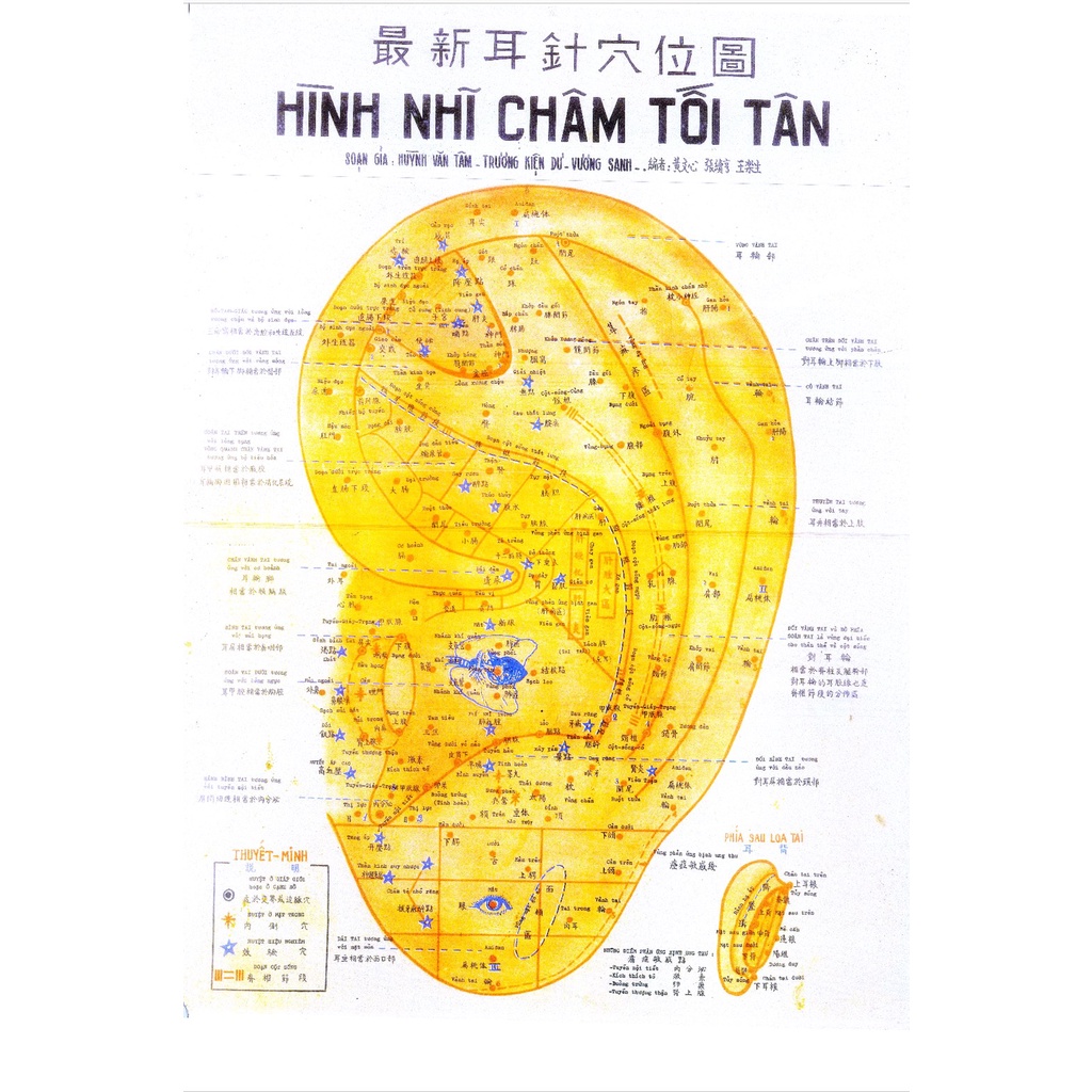 COMBO HÌNH NHĨ CHÂM VÀ TÀI LIỆU