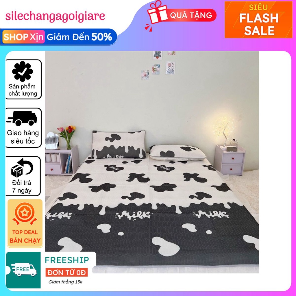 Chiếu Điều Hoà Cao Su Non 2D Tencel Latex Hàng Loại 1 Gồm 1 Chiều 2 Vỏ Gối 1m6x2m