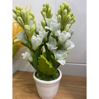 Chậu hoa huệ giả hàng xịn