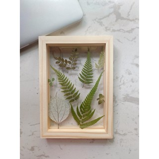 Khung Tranh 3D Lá Khô Handmade làm quà tặng, để bàn làm việc, trang trí decor