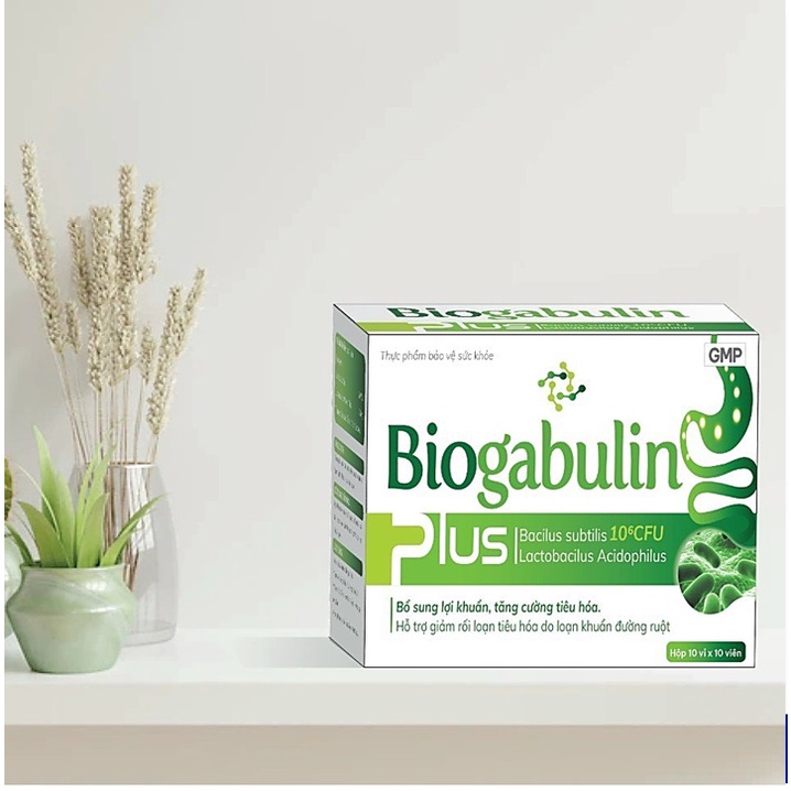 Men tiêu hóa Biogabulin - men vi sinh bổ sung lợi khuẩn, kẽm giúp tiêu hóa khỏe, ăn ngon miệng, giảm rối loạn đường ruột