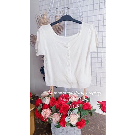 Áo mongtegi dáng croptop