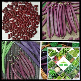 Hạt giống đậu cove tím 10 gr