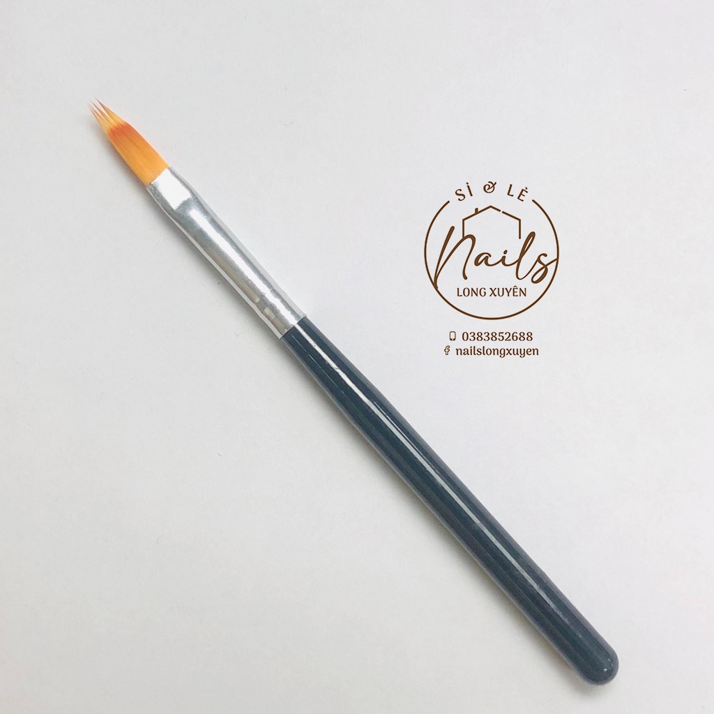 Cọ ombre cán gỗ, cọ mái thưa (Cây)