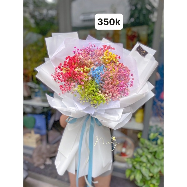 Hoa Baby Hà Lan mix màu ( Ship hoả tốc HCM)