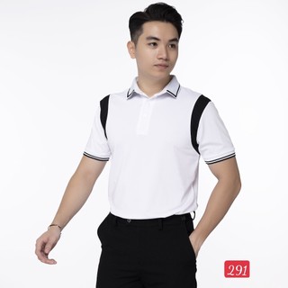 Áo thun cổ bẻ polo cao cấp vải thun cotton siêu co dãn hàng chuẩn shop Phuongnamshop20 kve25