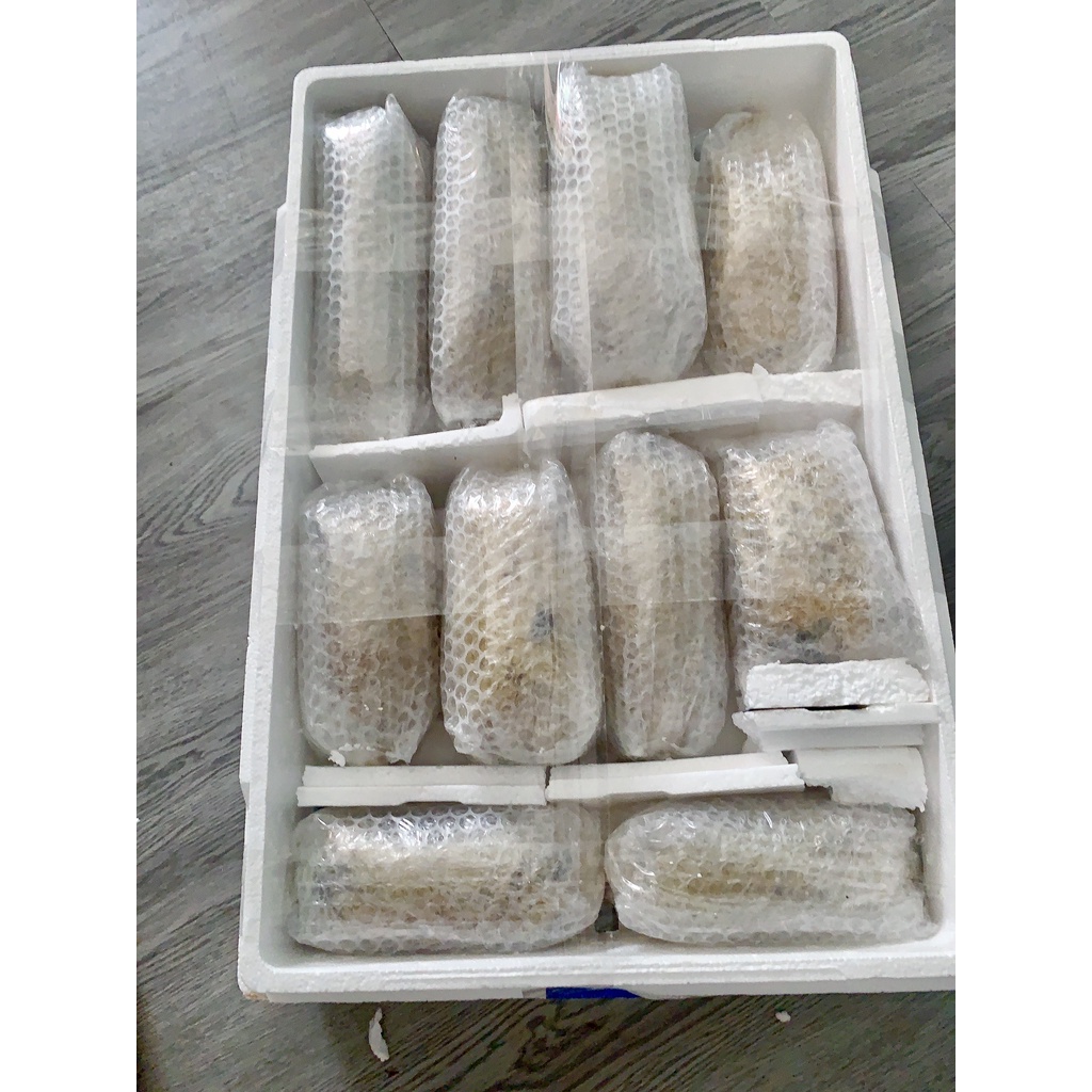 Mật ong ruồi nguyên tổ