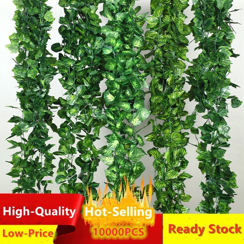 Combo 100 Dây Leo Lá Nho mầu Xanh - Nhân Tạo Dài 2.4M 36 Lá Trang Trí Tường Nhà Cửa Đa Dụng