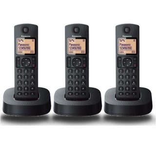 Điện thoại bàn không dây Panasonic KX-TGC313