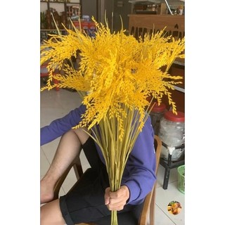 10 bông lúa vàng phong thủy tài lộc decor phòng, phòng khách, trang trí nhà