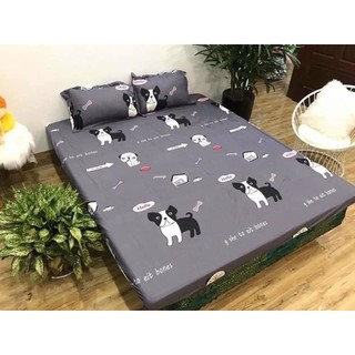 Bộ 3 Món Ga Gối Chó Xám chất liệu Cotton poly