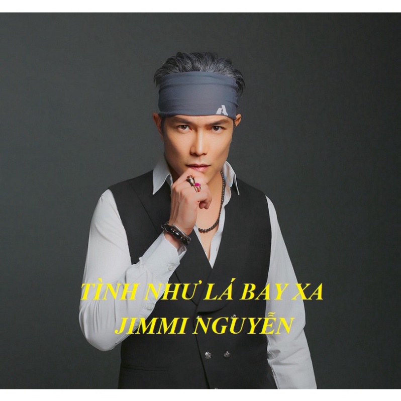 ĐĨA CD 33.TÌNH NHƯ LÁ BAY XA - JIMMI NGUYỄN - 1996 chất lượng cao