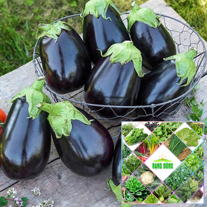 50 hạt giống cà tím giọt nước quả đen