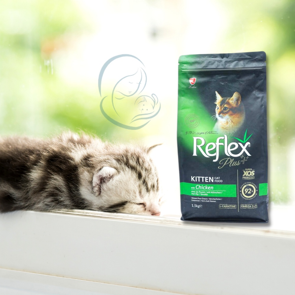 Mua Hạt Reflex KITTEN 1.5KG (Thức Ăn Cho Mèo Con) | Tăng Đề Kháng Tự ...
