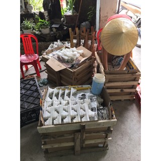 Ảnh Bác Hồ Chân Dung 20cm