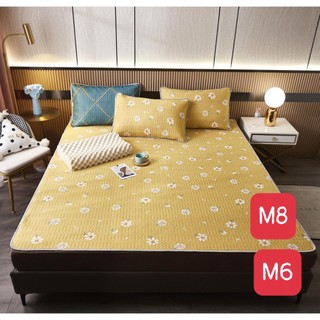 Chiếu điều hòa cao su non