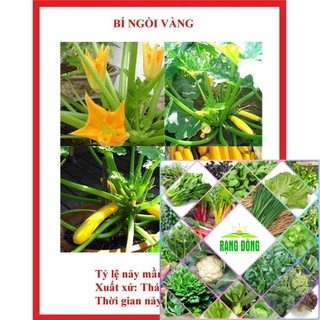 hạt giống bí ngòi vàng 15 hạt HAT F1