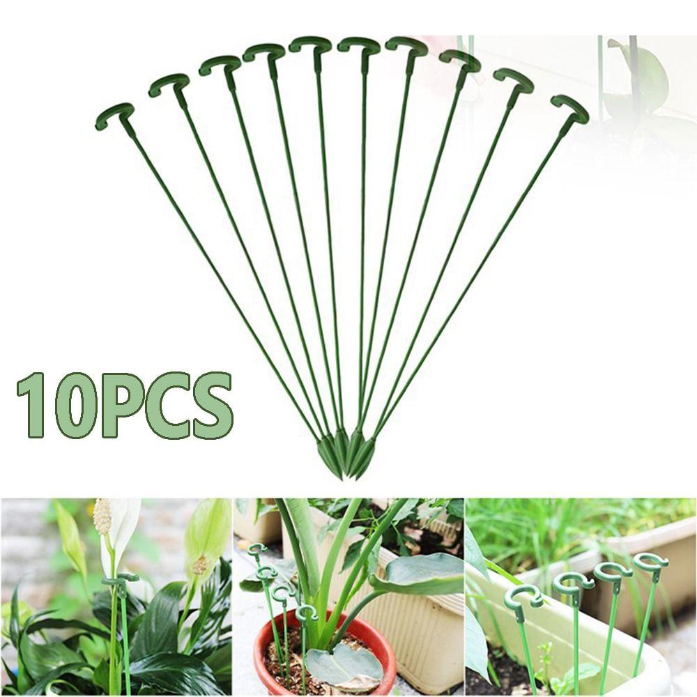 Set 10 Giá Đỡ Trồng Cây Cảnh Có Thể Tái Sử Dụng