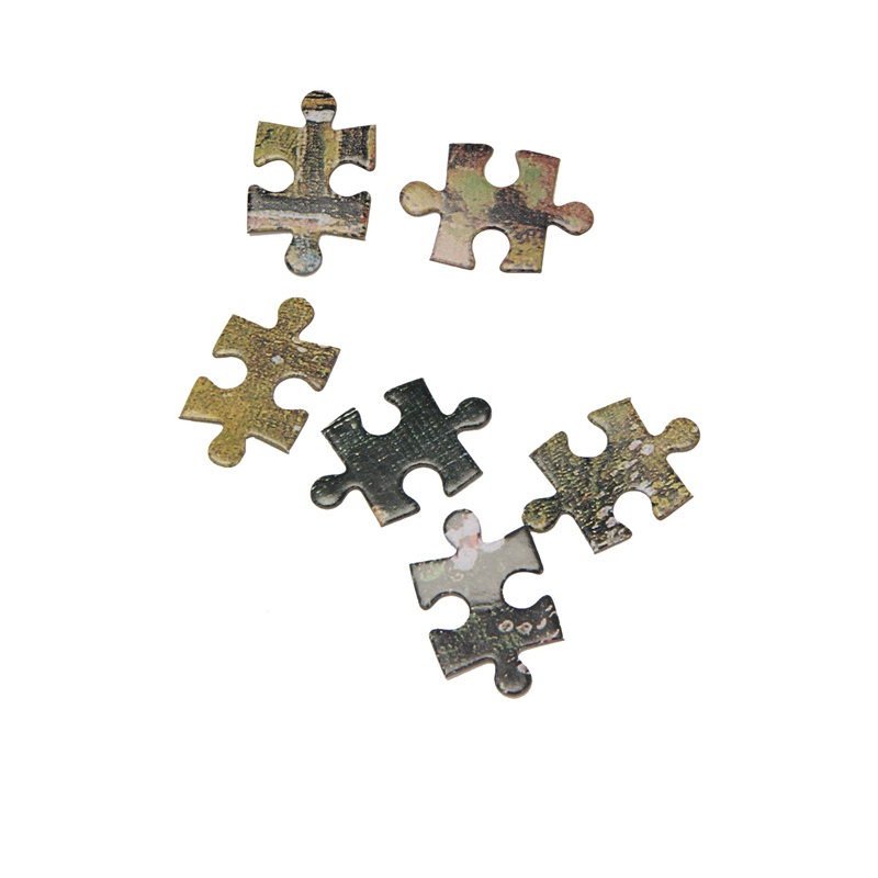 Bộ Đồ Chơi Xếp Hình 1000 Mảnh DIY 1019 Dành Cho Trẻ Em Và Người Lớn