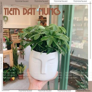 Chậu cây để bàn, Chậu trồng cây cảnh văn phòng dáng Mặt Người tiệm đất nung Bát Tràng