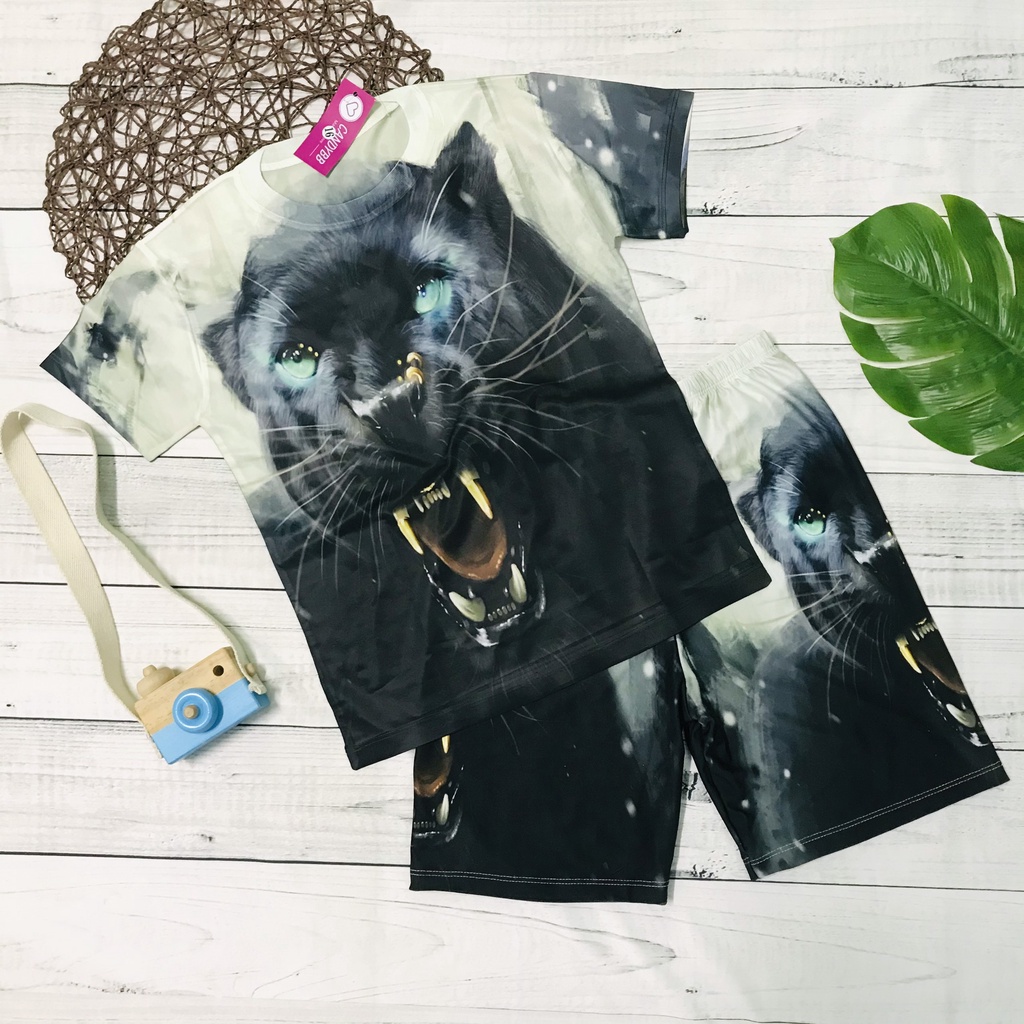 Đồ bộ bé trai, bộ thun lạnh in hình đại bàng và cọp 3D siêu ngầu, nhiều mẫu chất đẹp, thấm hút mồ hôi từ 10kg đến 60kg