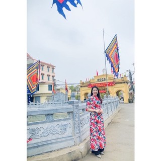 Đơn live 100