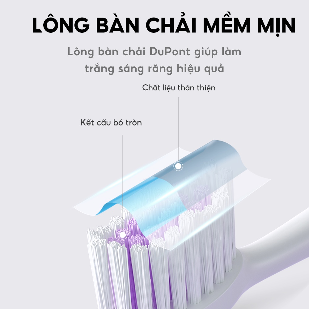 Bàn chải điện 5 chế độ | Thiết kế sang trọng Sonic Seago SG-986 - Bảo hành 12 tháng - Hàng chính hãng