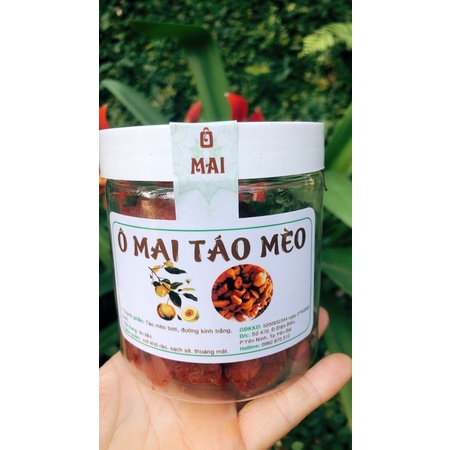 Ô MAI TÁO MÈO- ĐOÀN LƯƠNG