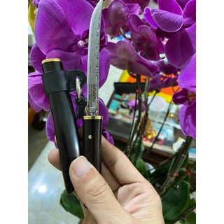 Dao gọt hoa quả