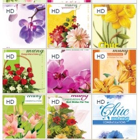 Thiệp chúc mừng, thiệp sinh nhật, thiệp mừng, thiệp 8/3, thiệp tặng mẹ, thiệp tặng cô ngày 8/3