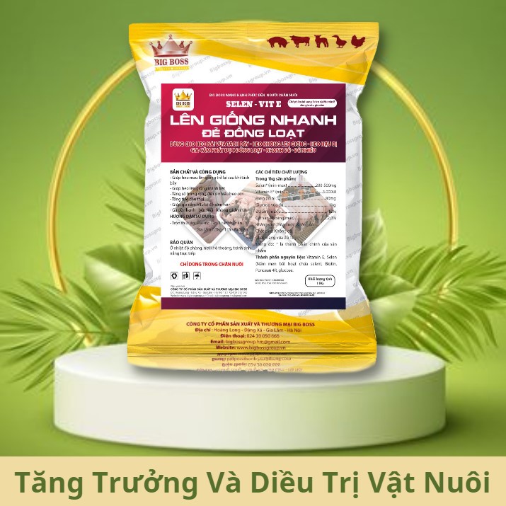 Lên giống nhanh Giúp heo (lợn) mau lên giống, gia cầm đ ,ẻ nhanh, nhiều, Chất lượng số 1