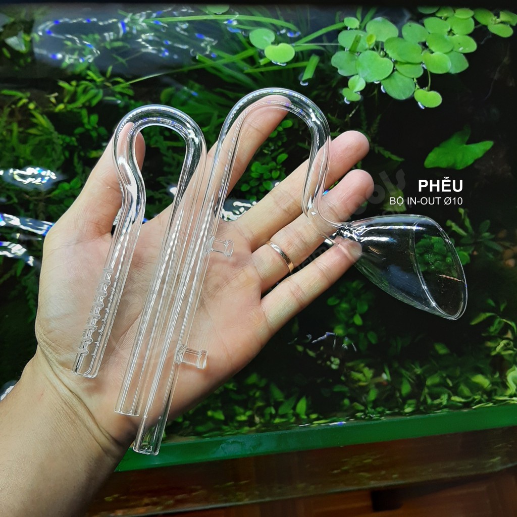 In Out thủy tinh ngắn cho bể thủy sinh, cá cảnh