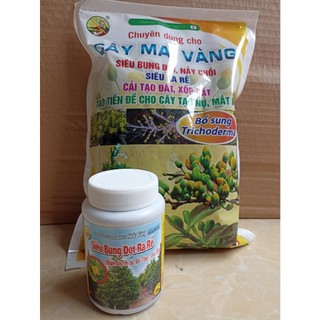 Combo chăm sóc mai vàng sau khi ra hoa