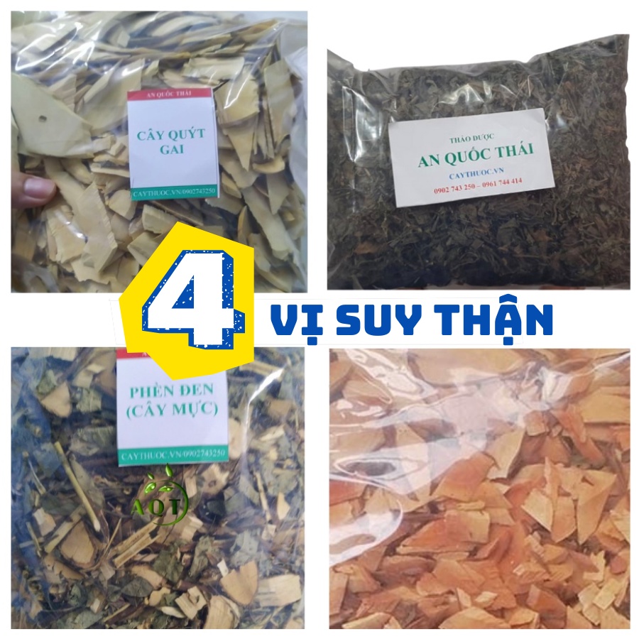 Thang Suy Thận, 4 Cây Hỗ Trợ Bệnh Thận, Thận Hư (Quýt Gai, Cây Muối, Cây Mực, Cây Nổ) Mỗi Vị 500g