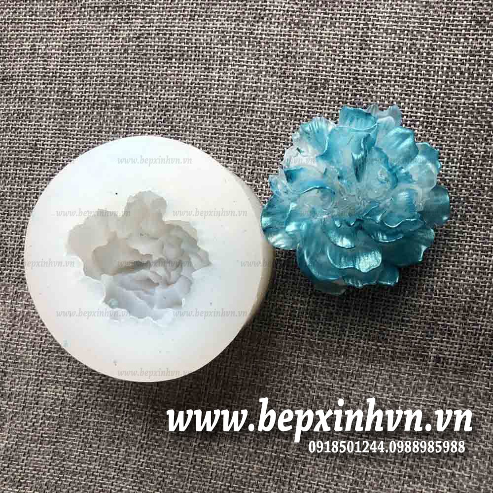 Khuôn silicon hoa cẩm chướng đại