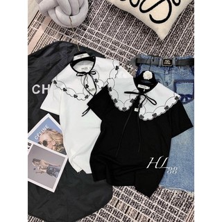 Áo phông miumiu cổ bèo siêu cấp