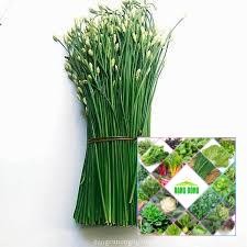 5 GRAM HẠT GIỐNG RAU HẸ BÔNG