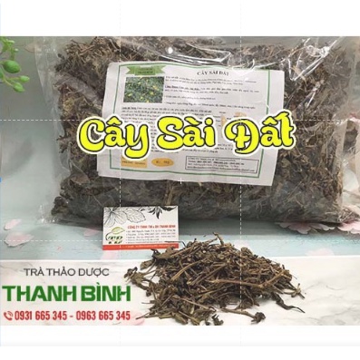 Cây Sài Đất Khô 100Gr - Loại 1 Chất Lượng - Thảo Dược Thanh Bình